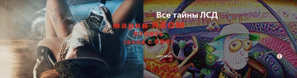 мескалин Касимов