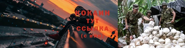 прущая мука Карпинск