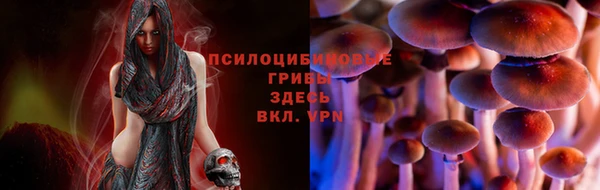 прущая мука Карпинск
