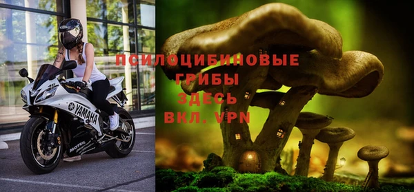 прущая мука Карпинск